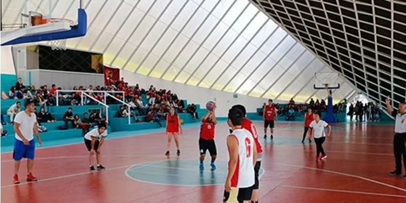 torneo mecatronic