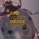 noticia web