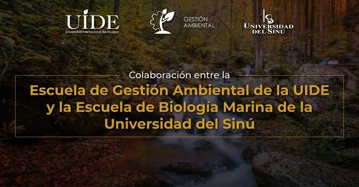 gestion ambiental 1