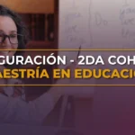 uide maestria educacion