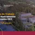 noticia oec