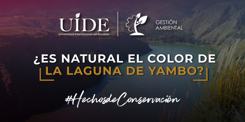 Yambo Color LAGUNA DE YAMBO, LUGAR TURÍSTICO, PERO, ¿SU COLOR VERDOSO ES NATURAL ...