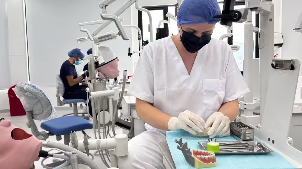 imagen malla odontologia uide 1