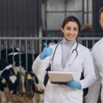 areas de profesionalizacion en produccion animal oportunidades en el mercado laboral