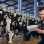 produccion animal especializate en el desarrollo de sistemas productivos de alto impacto