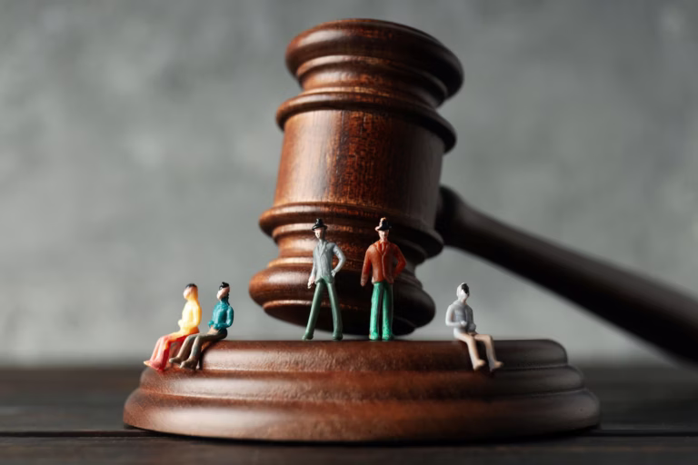 derecho constitucional