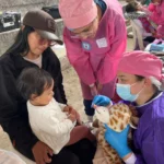 banner salida odontología