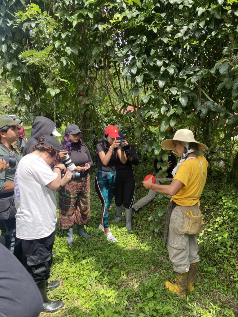 visita a mindo 2