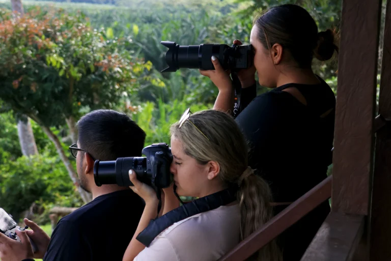 documental danec 5