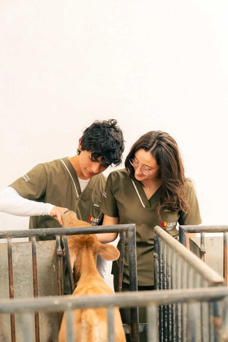 seminario veterinaria 4