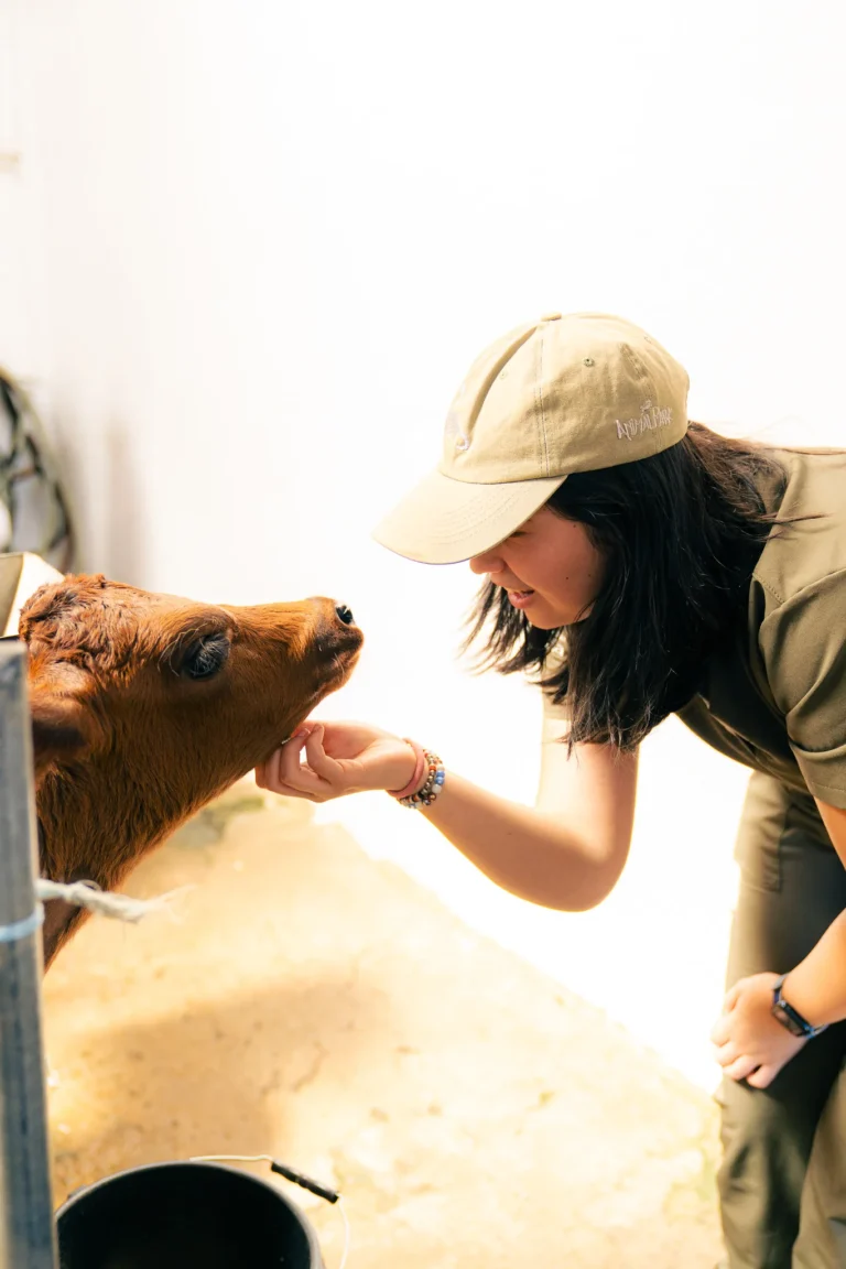 seminario veterinaria 5