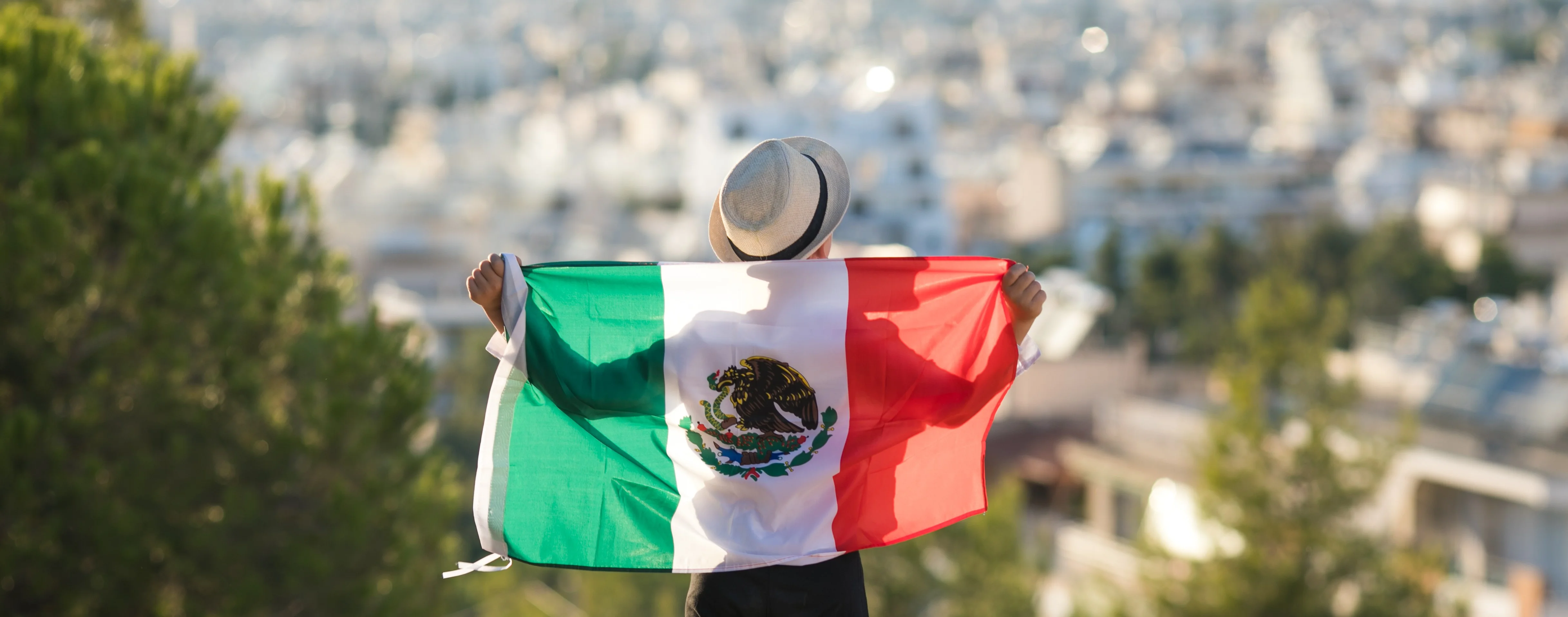 banner orii docentes méxico